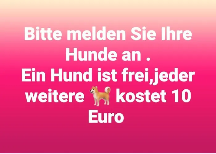 Gaestehaus Beckord 3* Hodenhagen